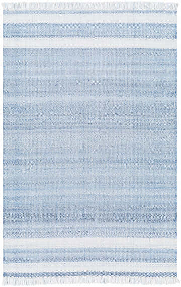 Close-up of the Loic Silver Blue Area Rug. Hand-woven rug with light blue stripes and fringed edges. Design-Rectangle-576