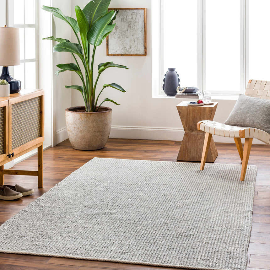 Living room scene with a gray Blaga Area Rug, wood floors, woven chair, and potted plant near a bright window. Roomscene-Rectangle