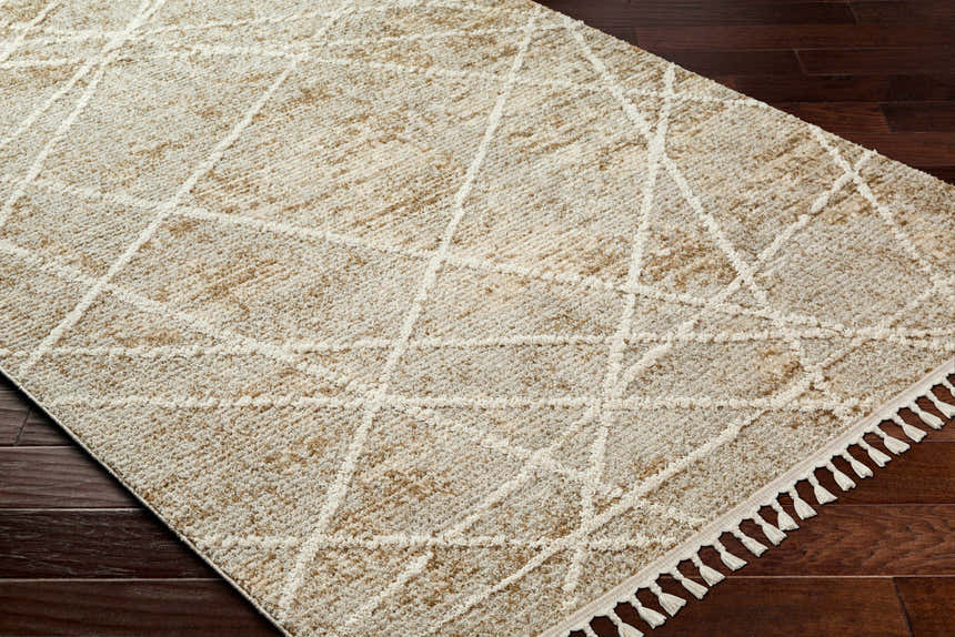 Close-up of the Hosea Brown Area Rug showing its beige, brown, and bone geometric pattern and textured weave. Corner
