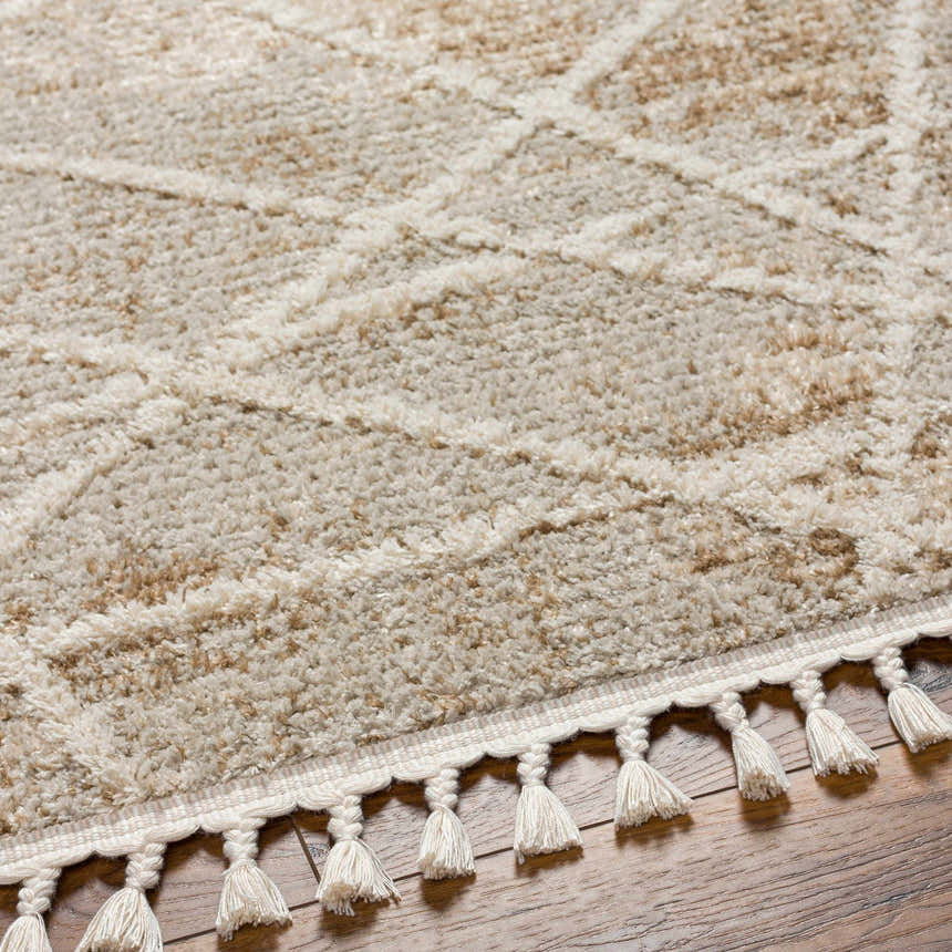 Close-up of the Hosea Brown Area Rug showing its beige, brown geometric pattern, soft texture, and decorative tassels. Texture