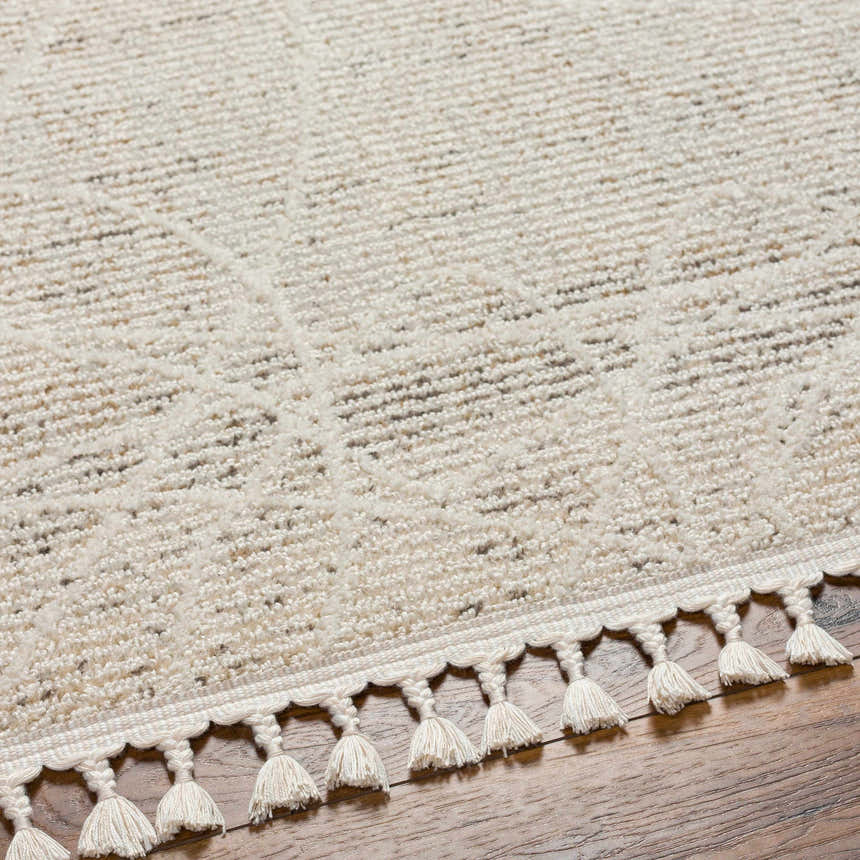 Close-up of the beige Huong Area Rug showing its subtle geometric pattern and decorative tassel fringe. Texture