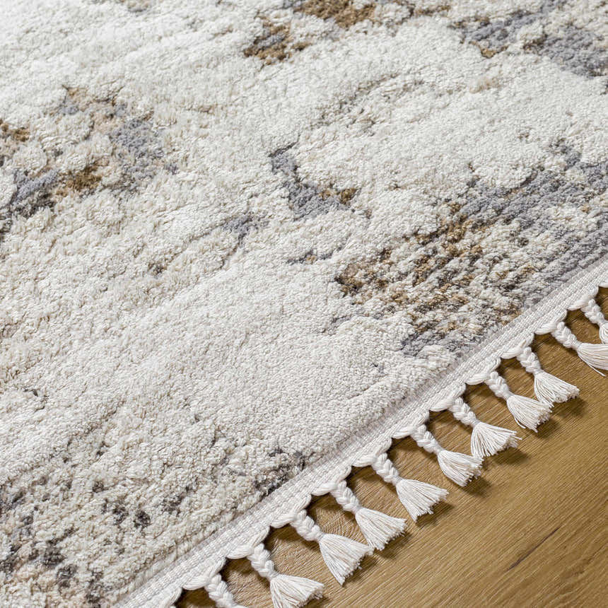Close-up of the Idola Area Rug, a machine-woven polyester rug in beige, bone, and gray with decorative tassels. Texture