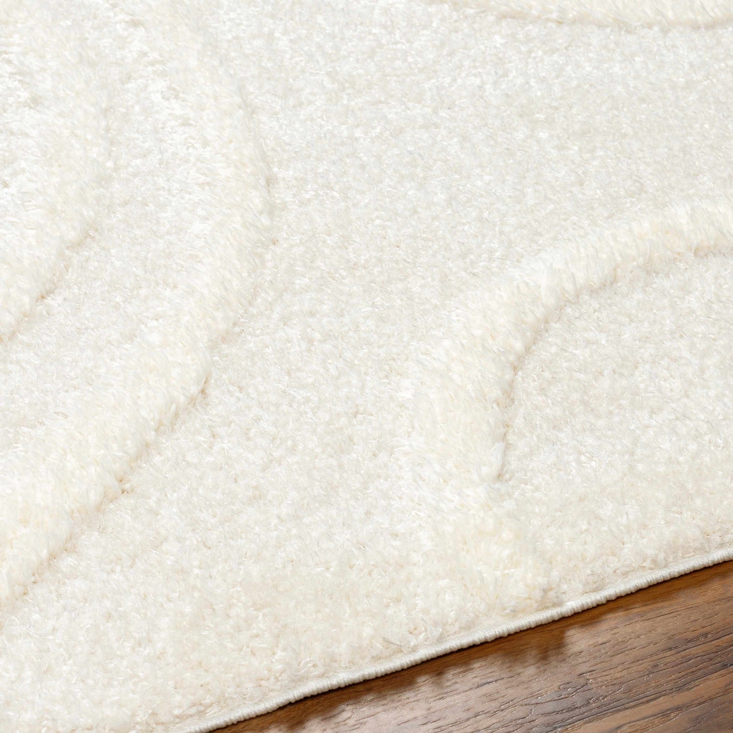 Close-up of the Horst Off White Area Rug showing its plush shag texture and subtle, carved contemporary design. Texture