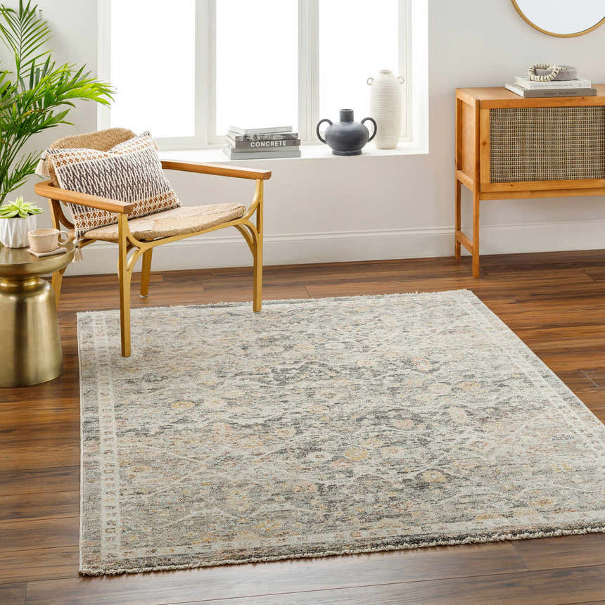 Living room scene with a beige Issay Area Rug, woven chair, wood cabinet, and natural light. Roomscene-Rectangle