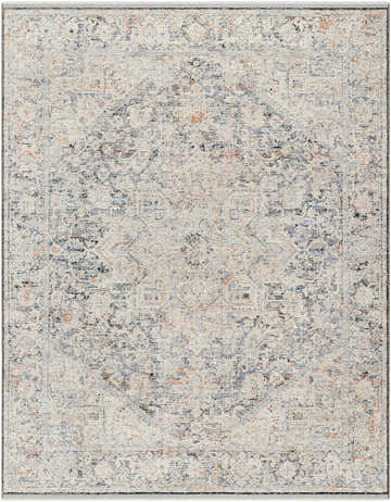 Detailed texture of the Charo Light Gray Area Rug, featuring a traditional pattern in gray, brown, and nutmeg hues. Design-Rectangle-71010