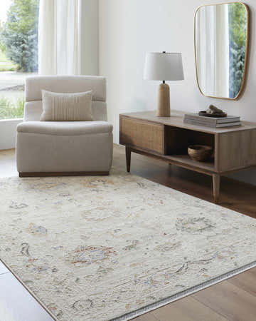 Living room scene with a beige Nikki Area Rug, chair, wood console table, lamp, and mirror. Roomscene-Rectangle