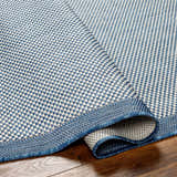 Close-up of the Aleid Blue Area Rug showing its woven texture and blue and white checkered pattern. Fold