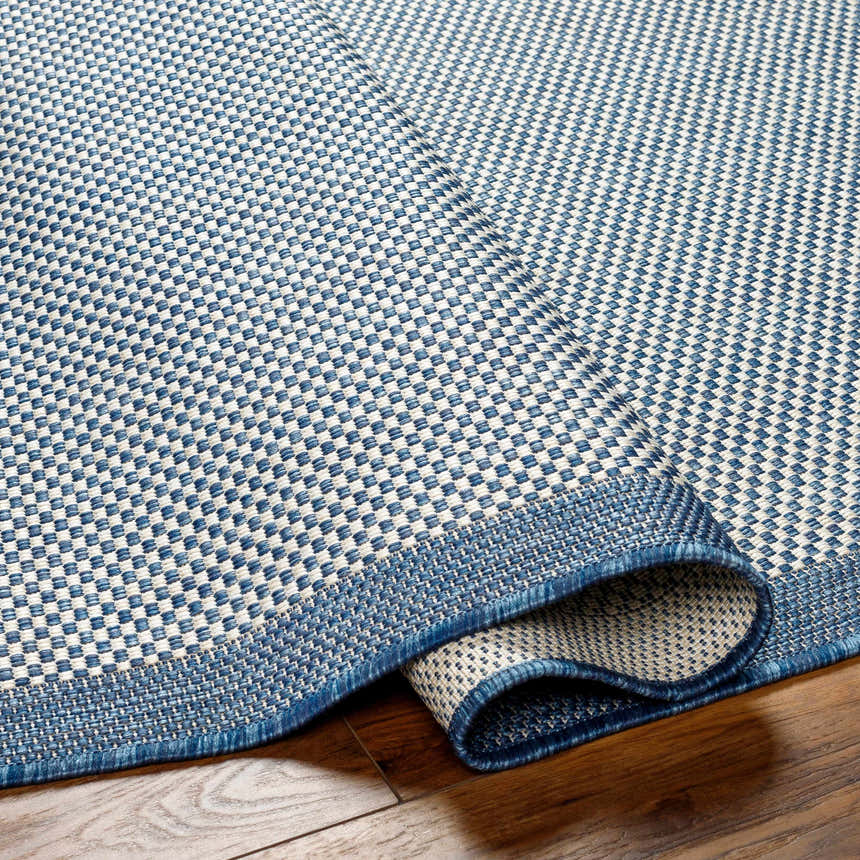 Close-up of the Aleid Blue Area Rug showing its woven texture and blue and white checkered pattern. Fold