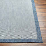 Close-up of the Aleid Blue Area Rug showing its woven texture, blue border, and small geometric pattern. Front