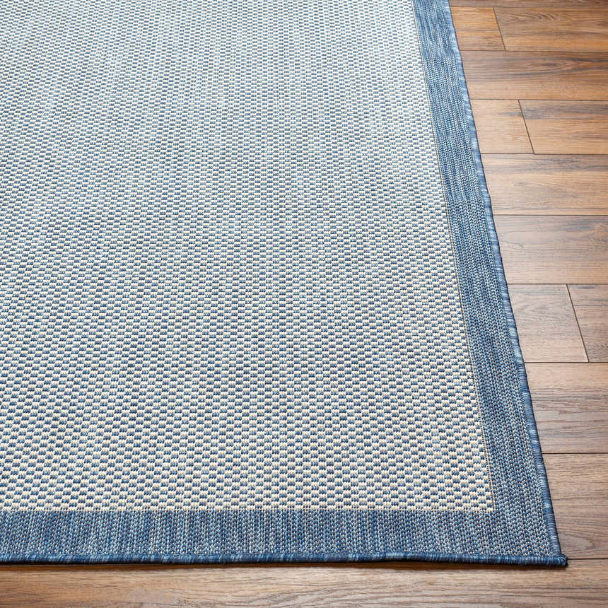 Close-up of the Aleid Blue Area Rug showing its woven texture, blue border, and small geometric pattern. Front