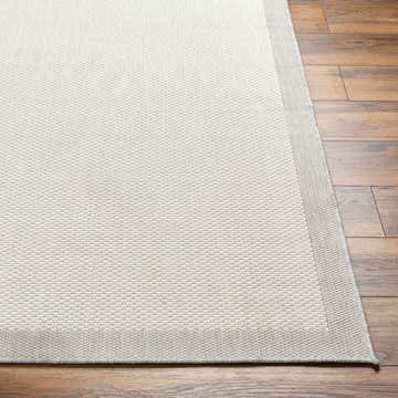 Close-up of the Aleid Cream Area Rug showing its bone and beige woven texture and border on wood flooring. Front