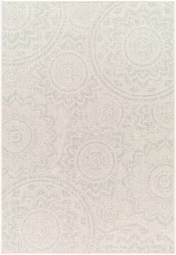 Close-up of the Ayala Cream Area Rug showing a beige and gray traditional medallion pattern and woven texture. Design-Rectangle-537