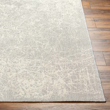 Close-up of Katz Cream Area Rug showing its woven texture and subtle beige and gray pattern on wood floor. Front