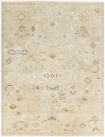 Close-up of the hand-knotted Danyl Area Rug in dark brown, dusty sage, light slate, olive, taupe, and white. Vintage farmhouse style. Design-Rectangle-810