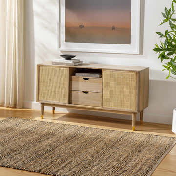 Living room scene with a tan Hetty Area Rug, light wood console table, neutral walls, and natural light. Roomscene-Rectangle