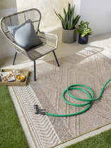 Outdoor patio scene with a beige Areli Area Rug, wicker chair, plants, and a garden hose. Roomscene-Rectangle