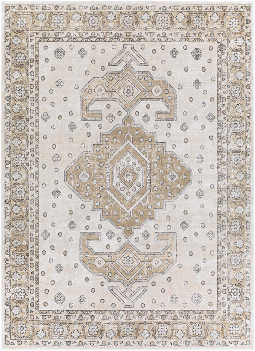 Close-up of the Southwark Area Rug showcasing its beige, charcoal, and off-white vintage pattern. Design-Rectangle-710102
