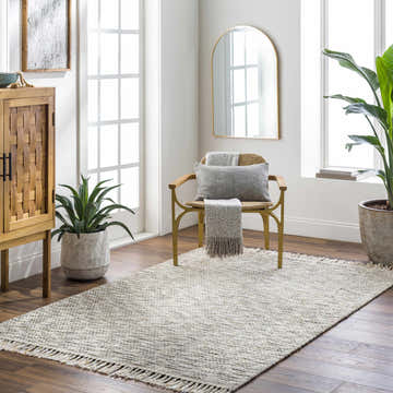 Light-filled room with Amiel Beige Hand Woven Area Rug, wood cabinet, chair with pillow, and plants for a contemporary style. Roomscene-Rectangle