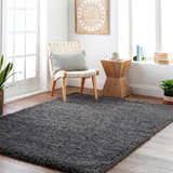 Modern living room scene with a gray Black Allon Area Rug, woven chair, and wood accents. Roomscene-Rectangle