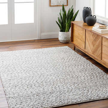 Living room scene with a light gray Chole Area Rug, wood floors, and a mid-century modern cabinet. Roomscene-Rectangle