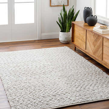 Living room scene with a light gray Oved Area Rug, wood floors, and a mid-century modern cabinet. Roomscene-Rectangle