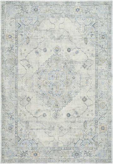 Close-up of the Tyche Beige Thick Luxe Area Rug, showcasing its traditional pattern and soft beige, gray, and pale blue colors. Design-Rectangle-679
