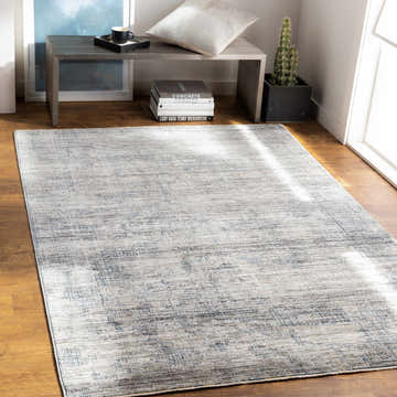 Entryway with Thornhill Carved Statement Rug in gray and blue, bench, books, cactus, and wood floors. Roomscene-Rectangle