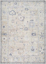 Close-up of the Toddy Area Rug, a beige rug with charcoal and slate blue traditional patterns and a border. Design-Rectangle