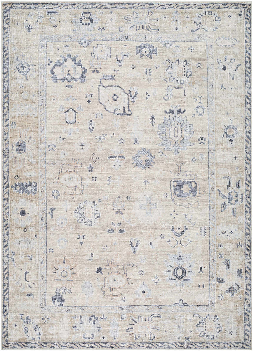 Close-up of the Toddy Area Rug, a beige rug with charcoal and slate blue traditional patterns and a border. Design-Rectangle