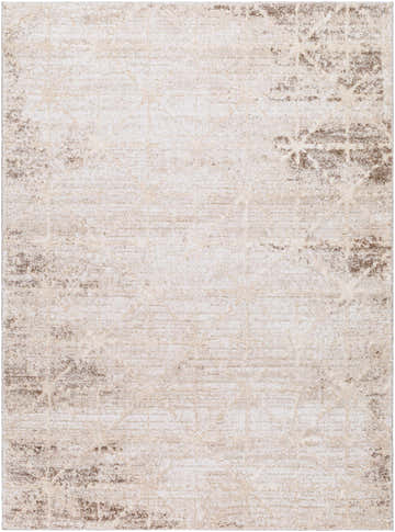 Close-up of the Tyree Area Rug, ash and light silver, featuring a distressed traditional pattern. Design-Rectangle-5373