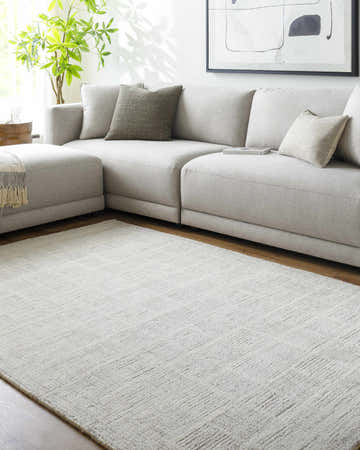 Living room scene with a light silver Urian Area Rug, gray sectional, and modern art. Roomscene-Rectangle