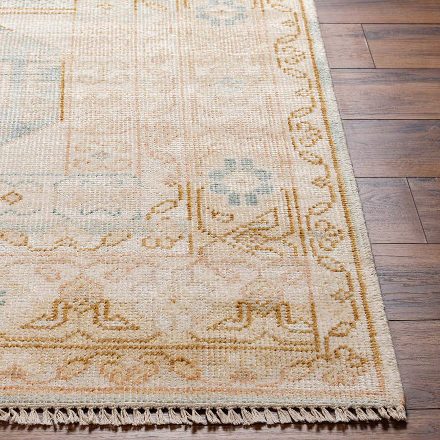 Close-up of the Villareal Area Rug showing hand-knotted wool texture and traditional oriental design in cream, pink, blue, and beige. Front