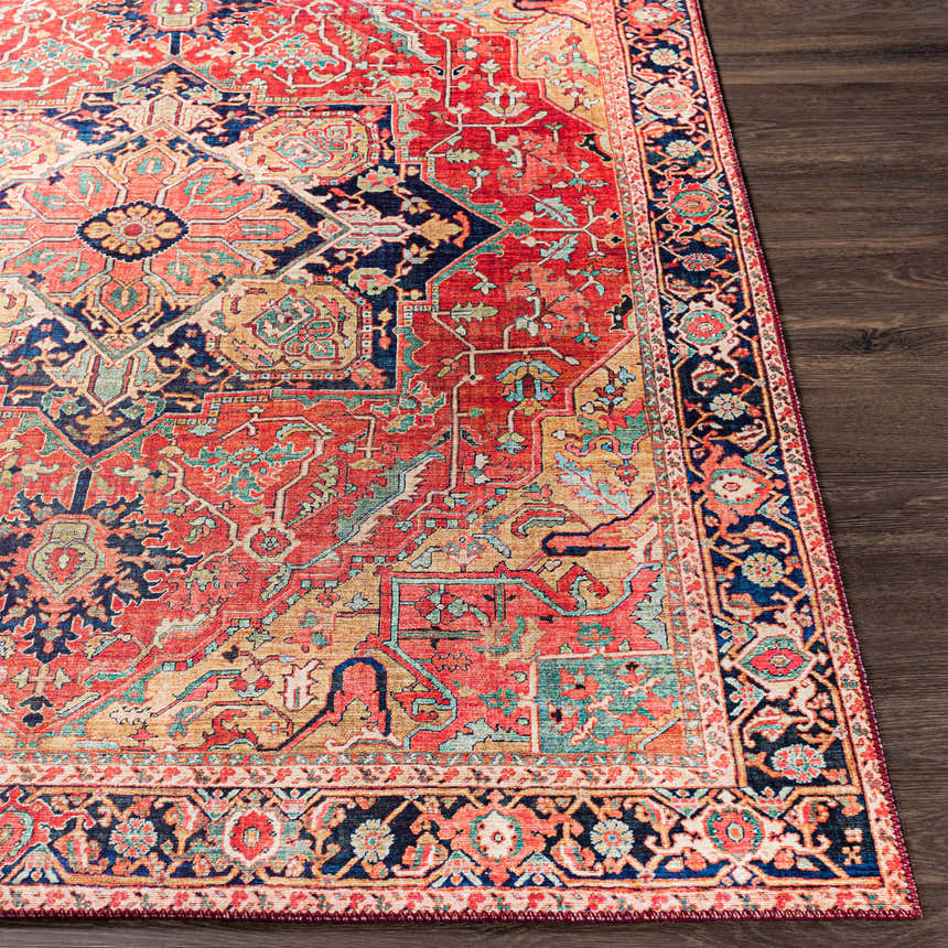 Close-up of the Whittingham Area Rug. Bohemian style with brick red, cream, dark blue, and brown oriental pattern. Front