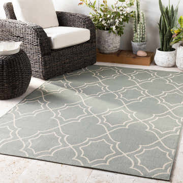 Outdoor patio scene with a Dusty Sage Wroxham Area Rug, wicker furniture, and potted plants. Roomscene-Rectangle