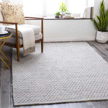 Living room scene with a gray Wroxall Area Rug, modern chair, side table, and plants by the window. Roomscene-Rectangle